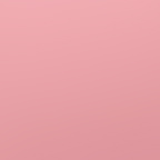 Rose Pink (1)